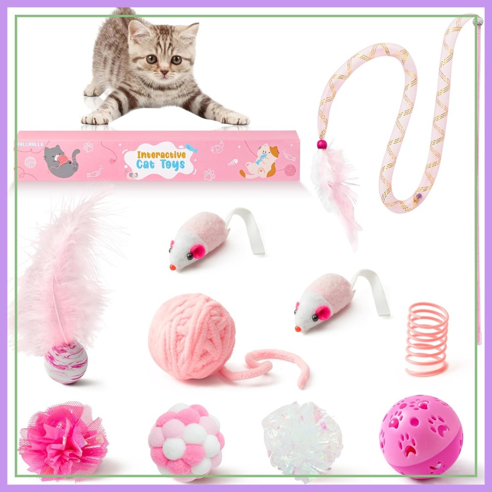 Interactive Cat Toy - 10Pcs Cat Toy Set Interactive Toys