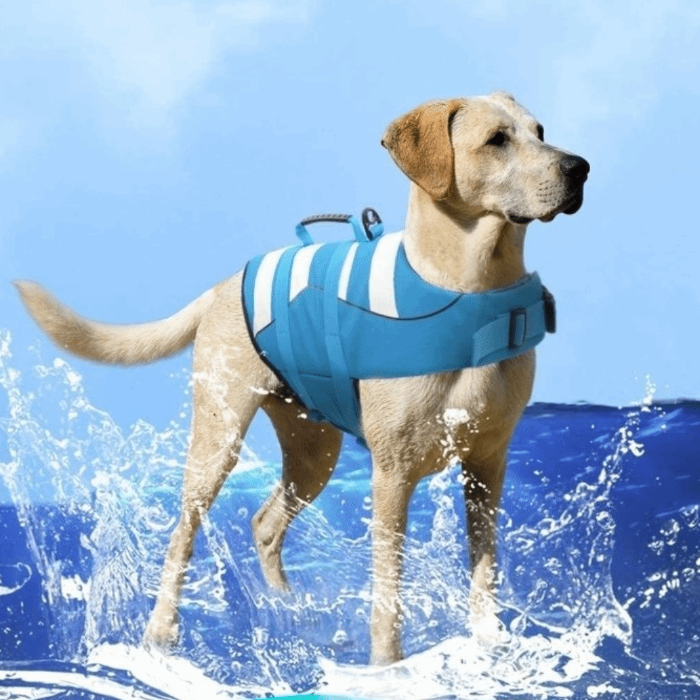 Dog Life Jacket - Reflective Dog Life Jacket Superior Buoyancy