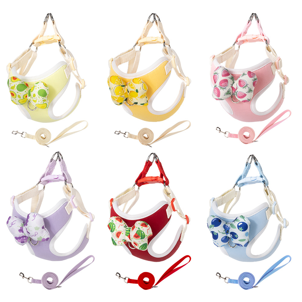 Pet Supplies Warehouse - 2026 New Harness Leash Set Fruit