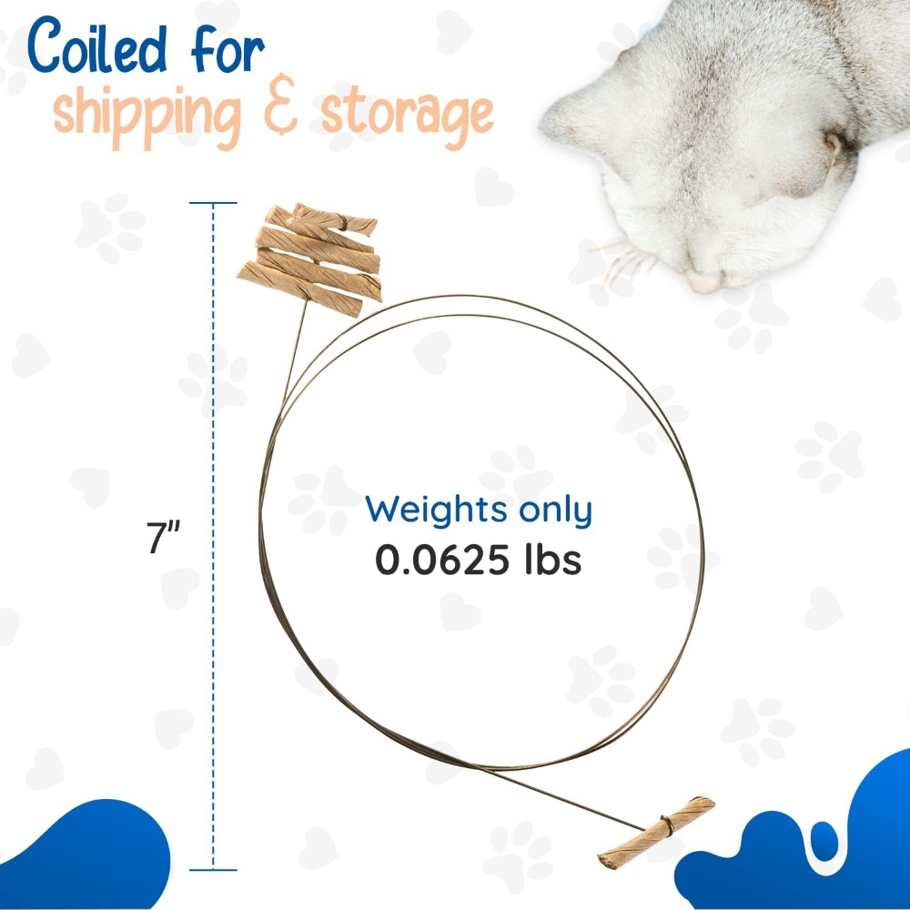 Interactive Cat Toy, 3 Pack -  - Interactive Cat Toy recensione e prezzo