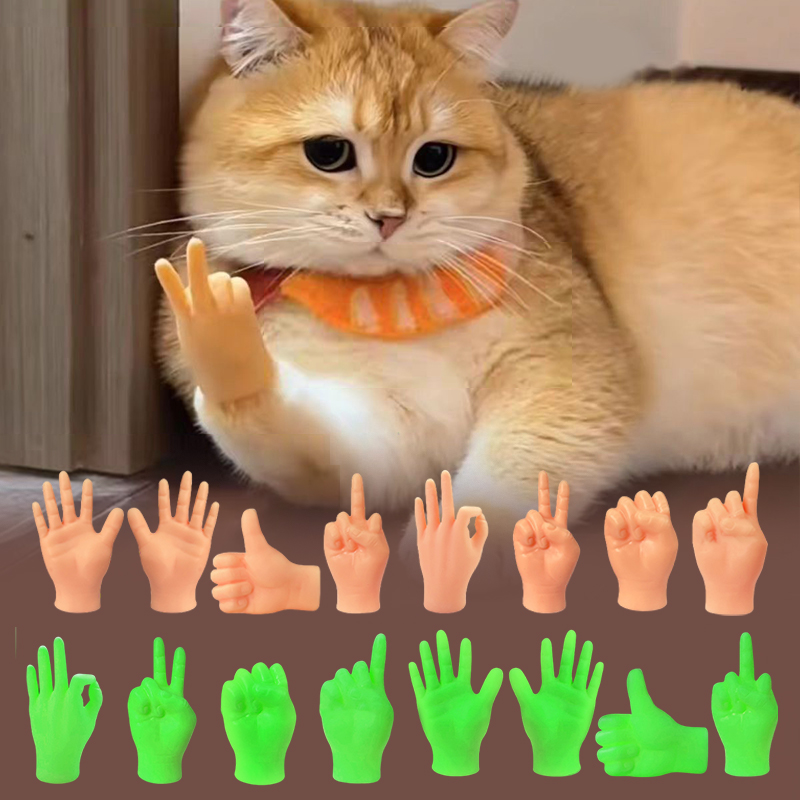 Creative Cat Interactive Funny - Interactive Cat Toy recensione e prezzo