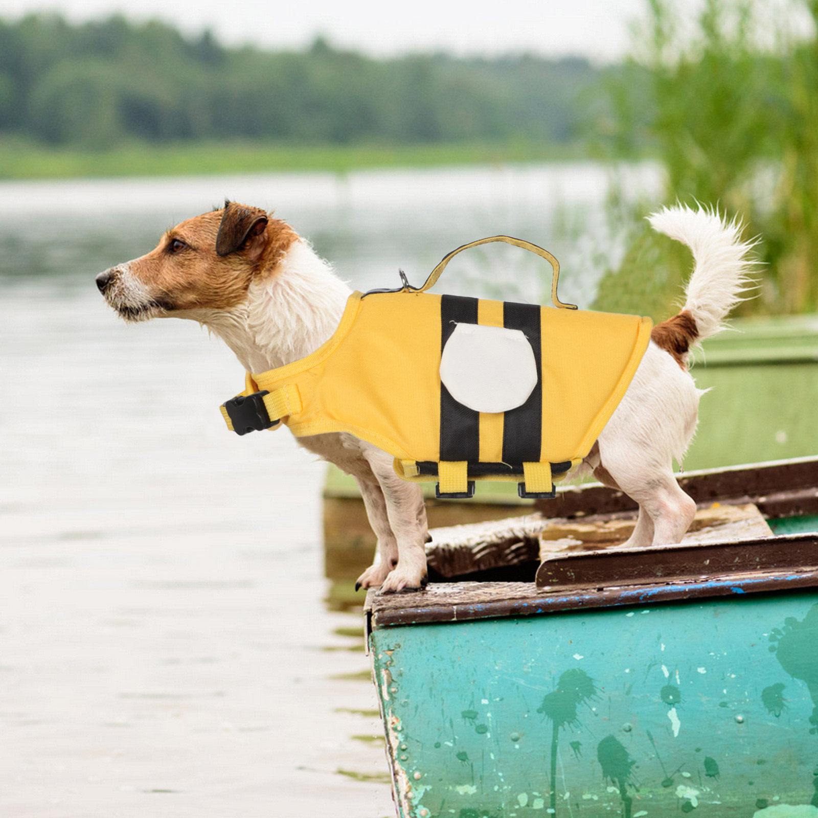 Dog Swimming Vest for Small Do - Dog Life Jacket recensione e prezzo