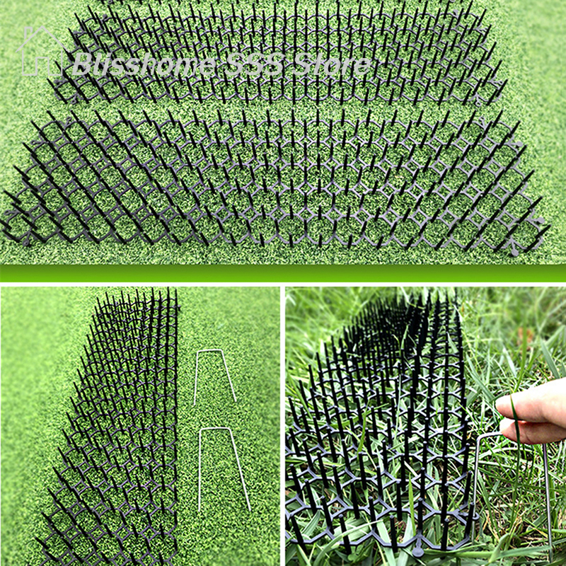 【S】Garden Cat Scat Mat Anti Ca - Pet Supplies Warehouse recensione e prezzo