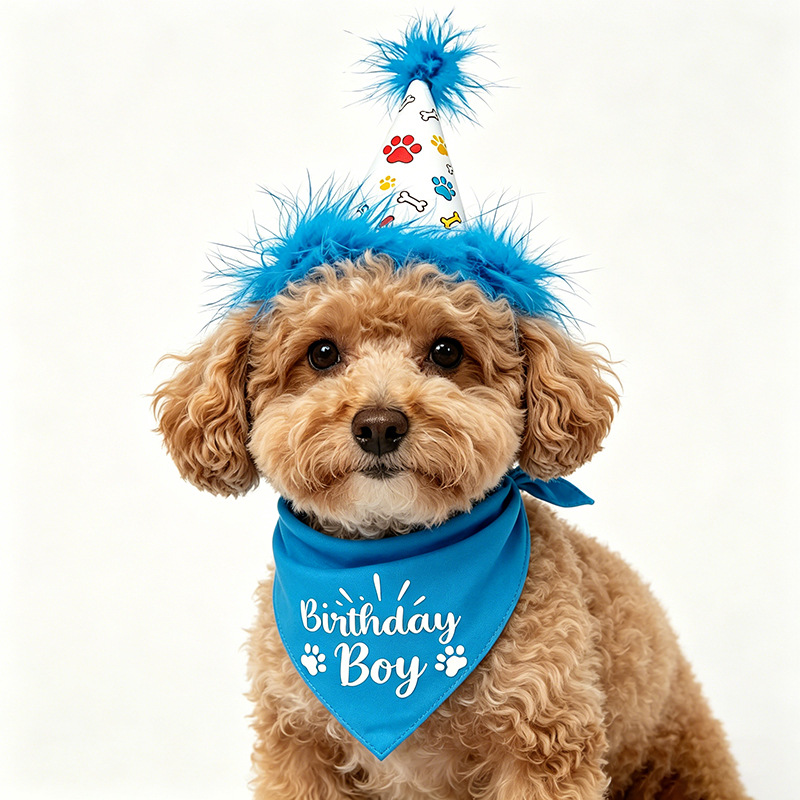 Dog Birthday Party Set Bandana - Pet Supplies In Bulk recensione e prezzo