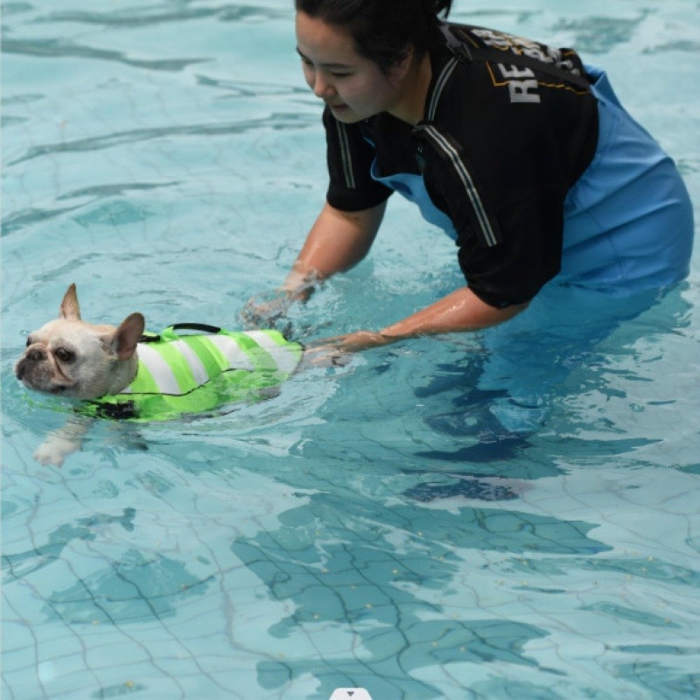 Reflective Dog Life Jacket Sup - Dog Life Jacket recensione e prezzo
