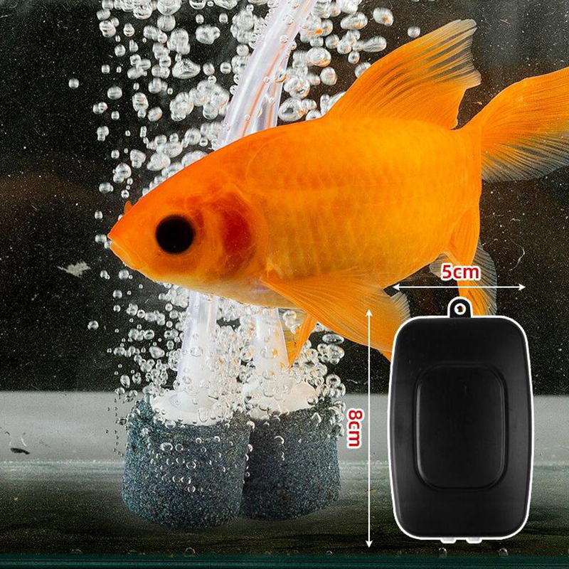 Mini Aquarium Air Pump Kit Oxy - Fish Tank Filter Pump recensione e prezzo