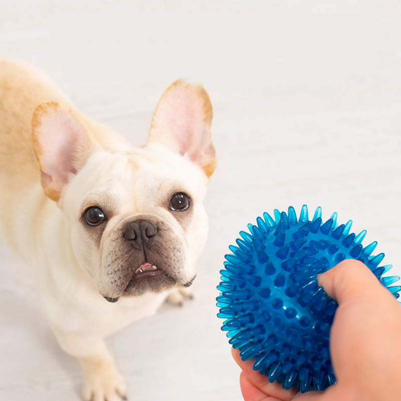 High Elasticity French Bulldog - Pet Supplies In Bulk recensione e prezzo