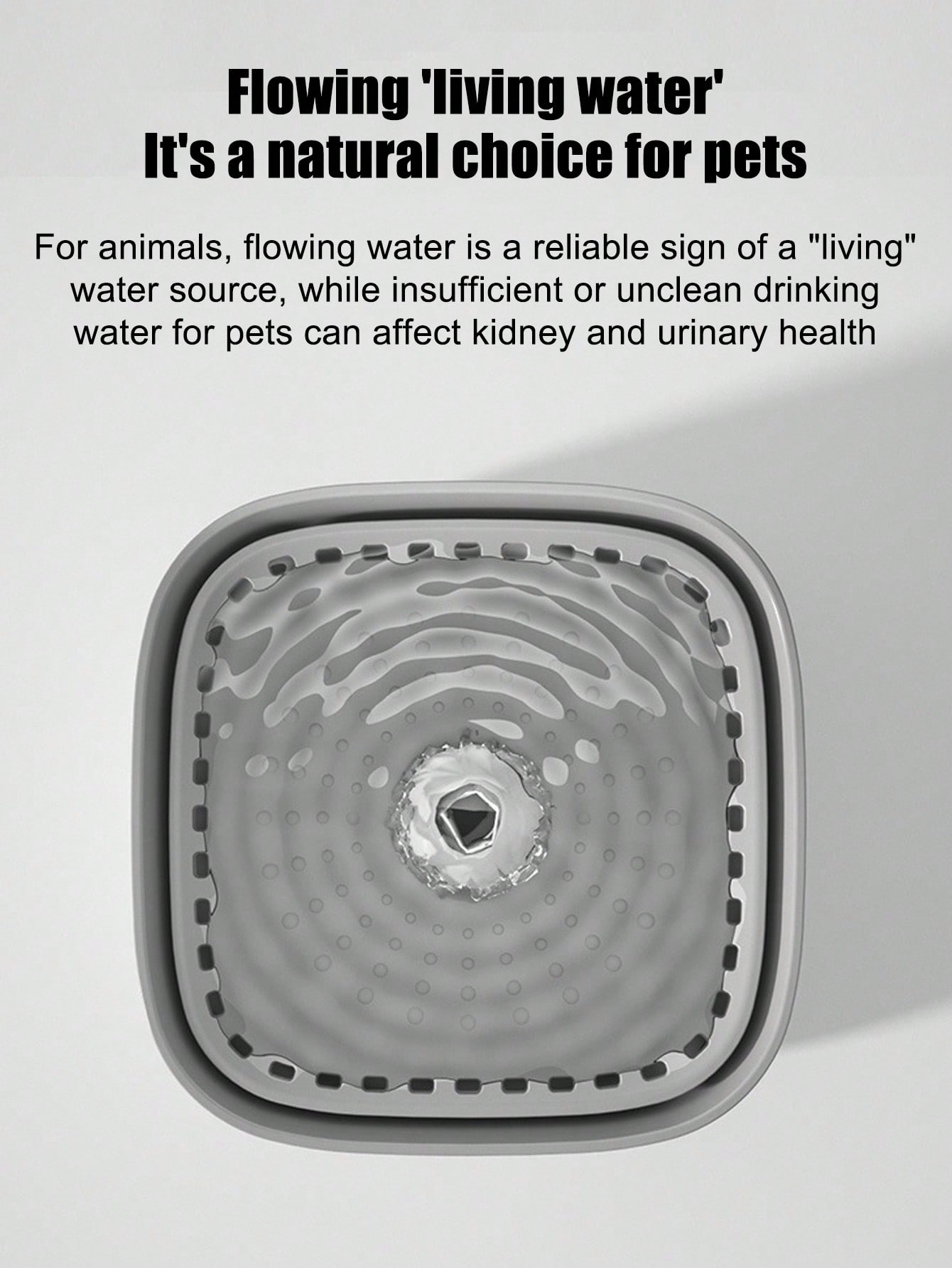 New Automatic Cat Water Founta - Pet Water Fountain recensione e prezzo