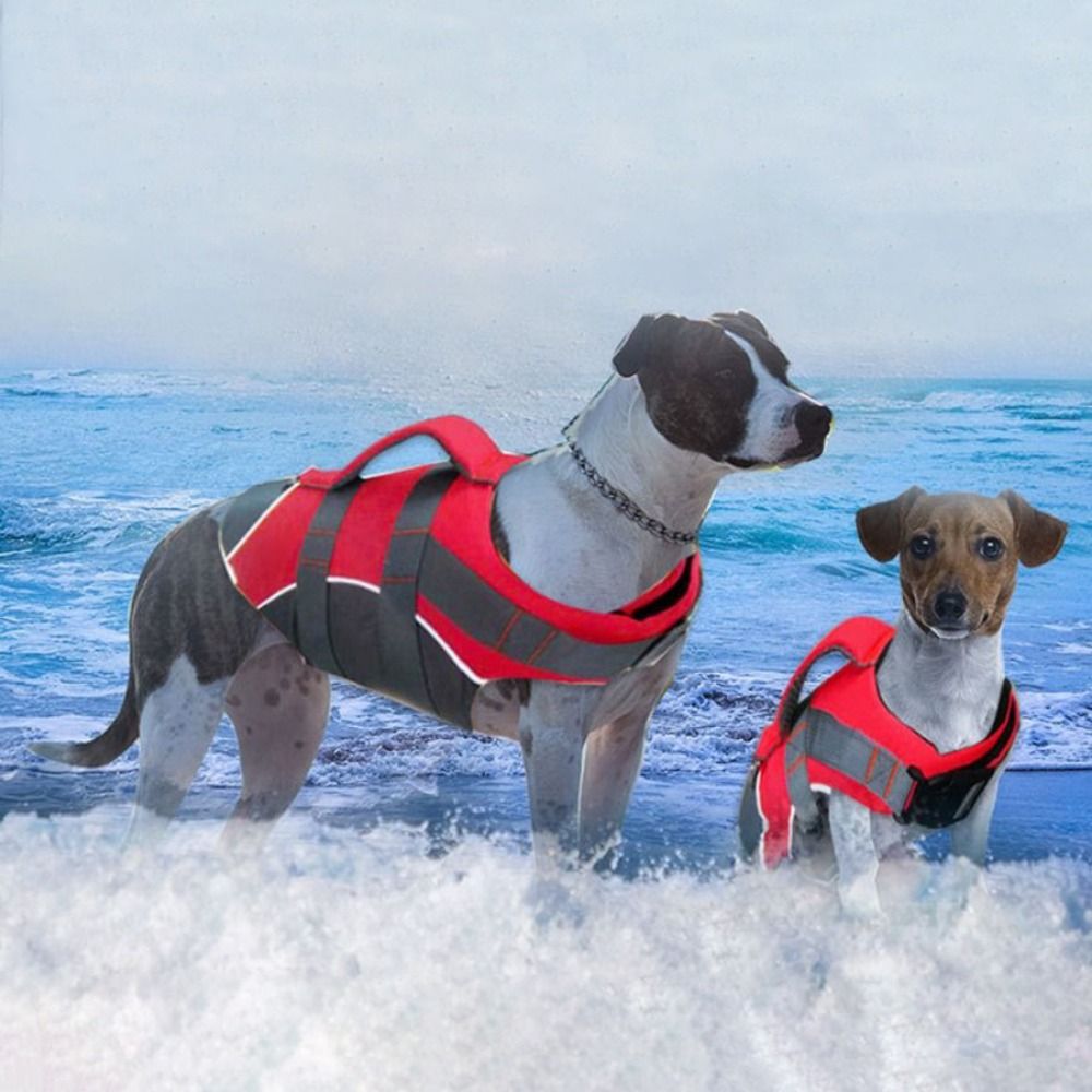 Reflective Dog Life Jacket Bre - Dog Life Jacket recensione e prezzo