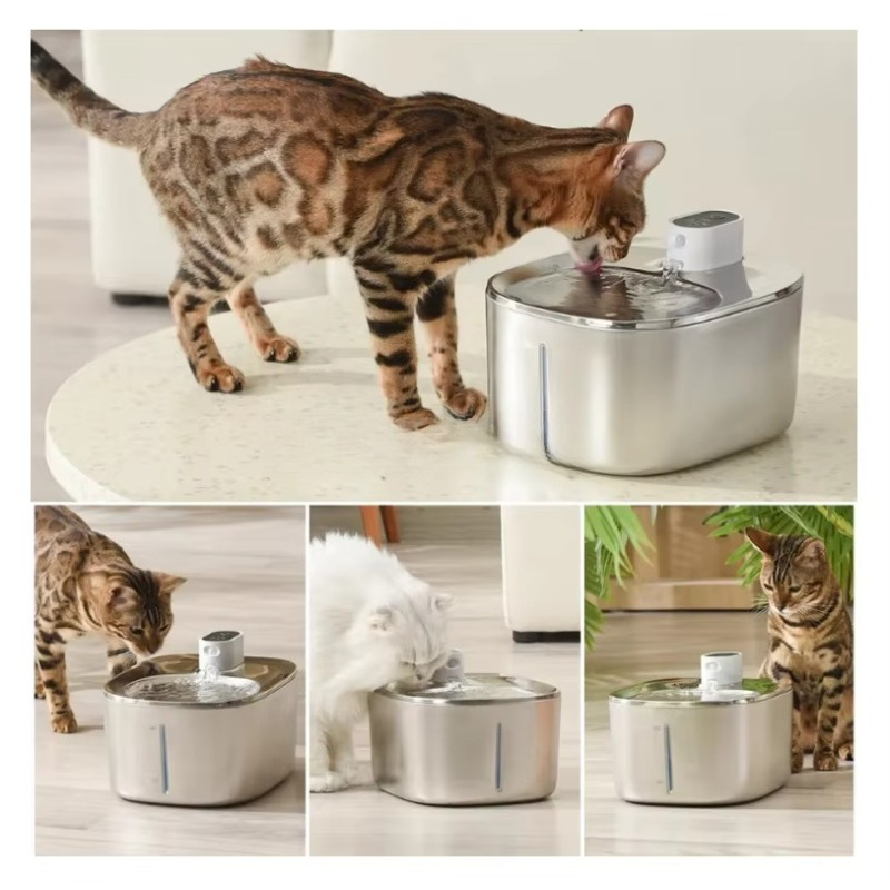 Stainless Steel Pet Water Bowl - Pet Water Fountain recensione e prezzo
