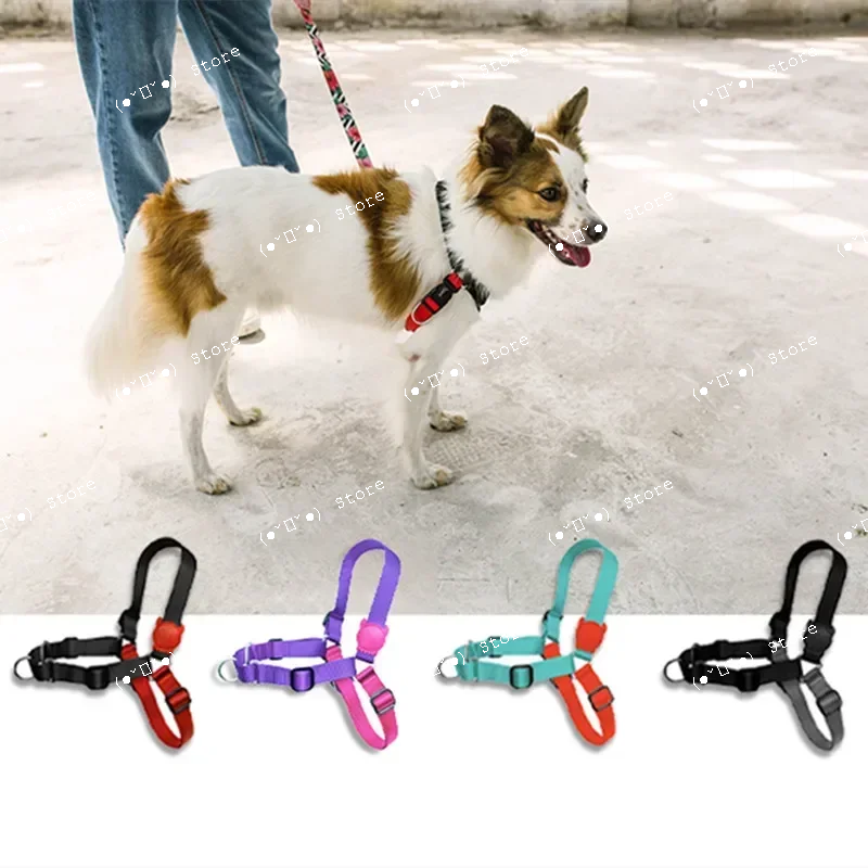 explosion-proof medium and lar - Pet Supplies Usa recensione e prezzo