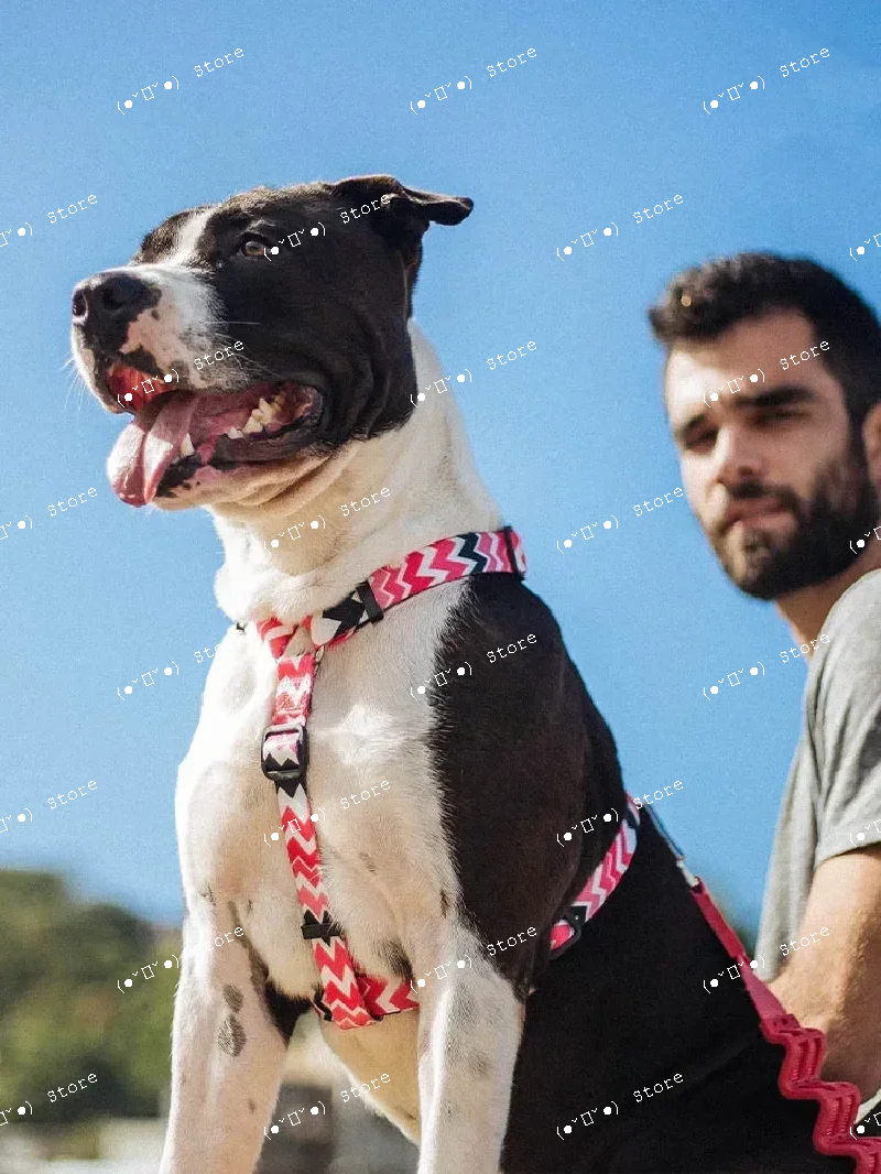 explosion-proof medium and lar - Pet Supplies Usa recensione e prezzo