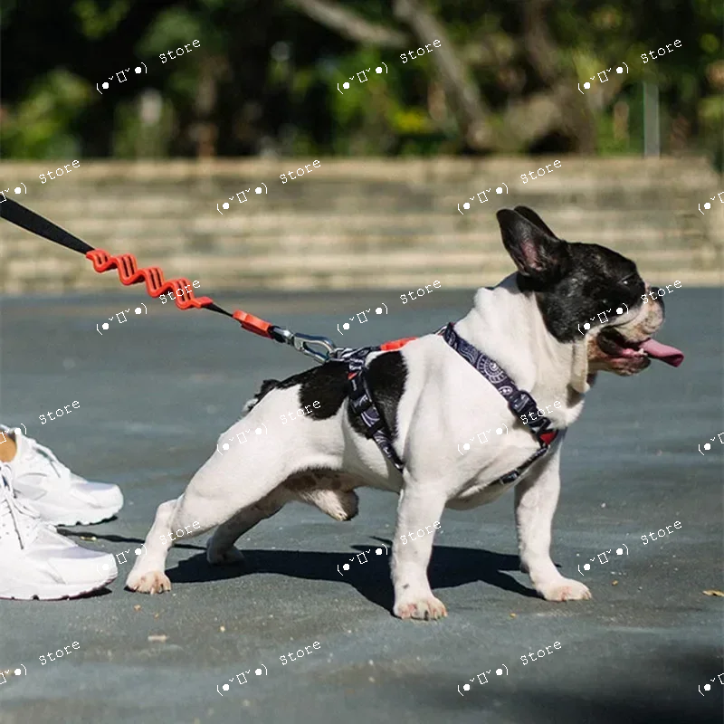explosion-proof medium and lar - Pet Supplies Usa recensione e prezzo