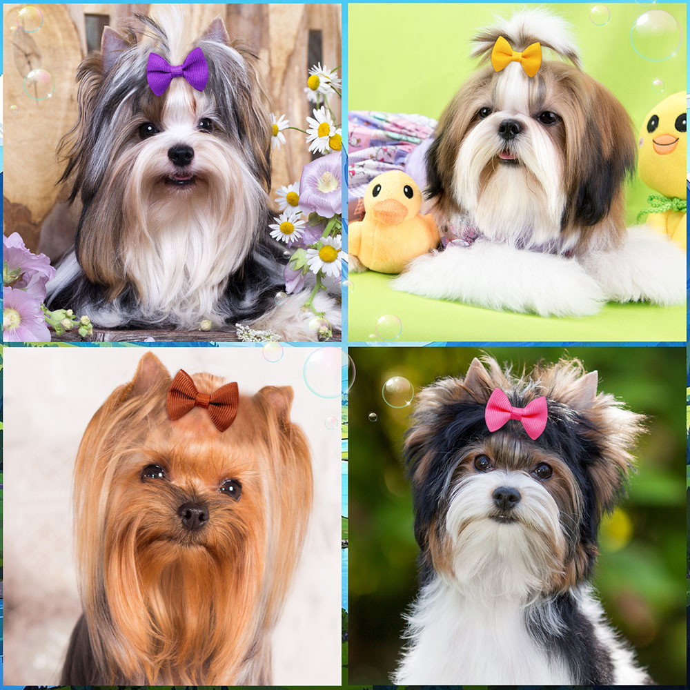 50PCS Puppy Bows With Rubber B - Pet Supplies In Bulk recensione e prezzo