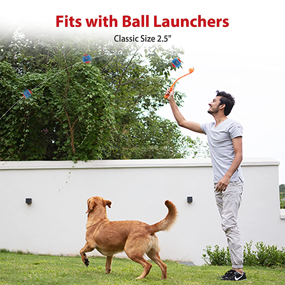 Pet Dog Squeaky Tennis Ball In - Pet Supplies In Bulk recensione e prezzo