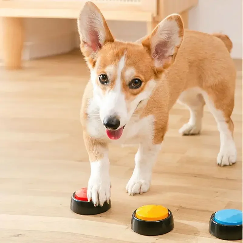 2026 Recordable Talking Pet Bu - Interactive Cat Toy recensione e prezzo
