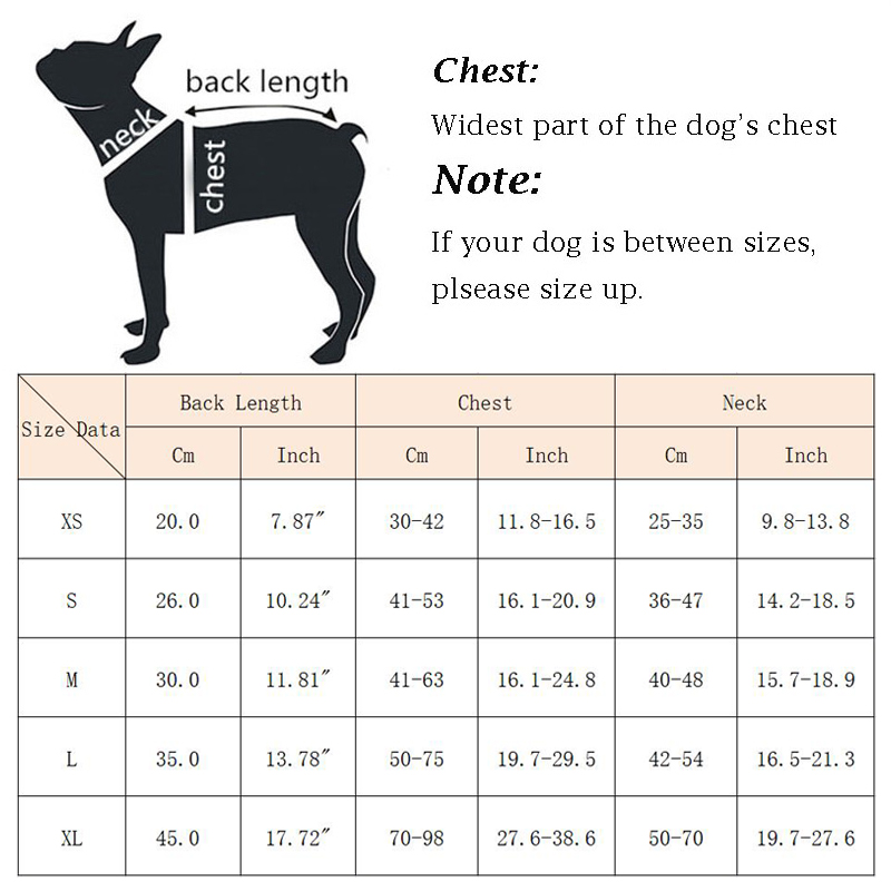 Summer Puppy Big Dog Swimsuit  - Dog Life Jacket recensione e prezzo