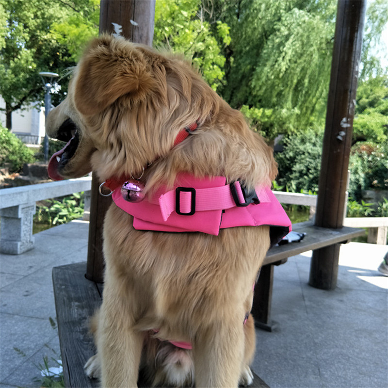 Summer Puppy Big Dog Swimsuit  - Dog Life Jacket recensione e prezzo