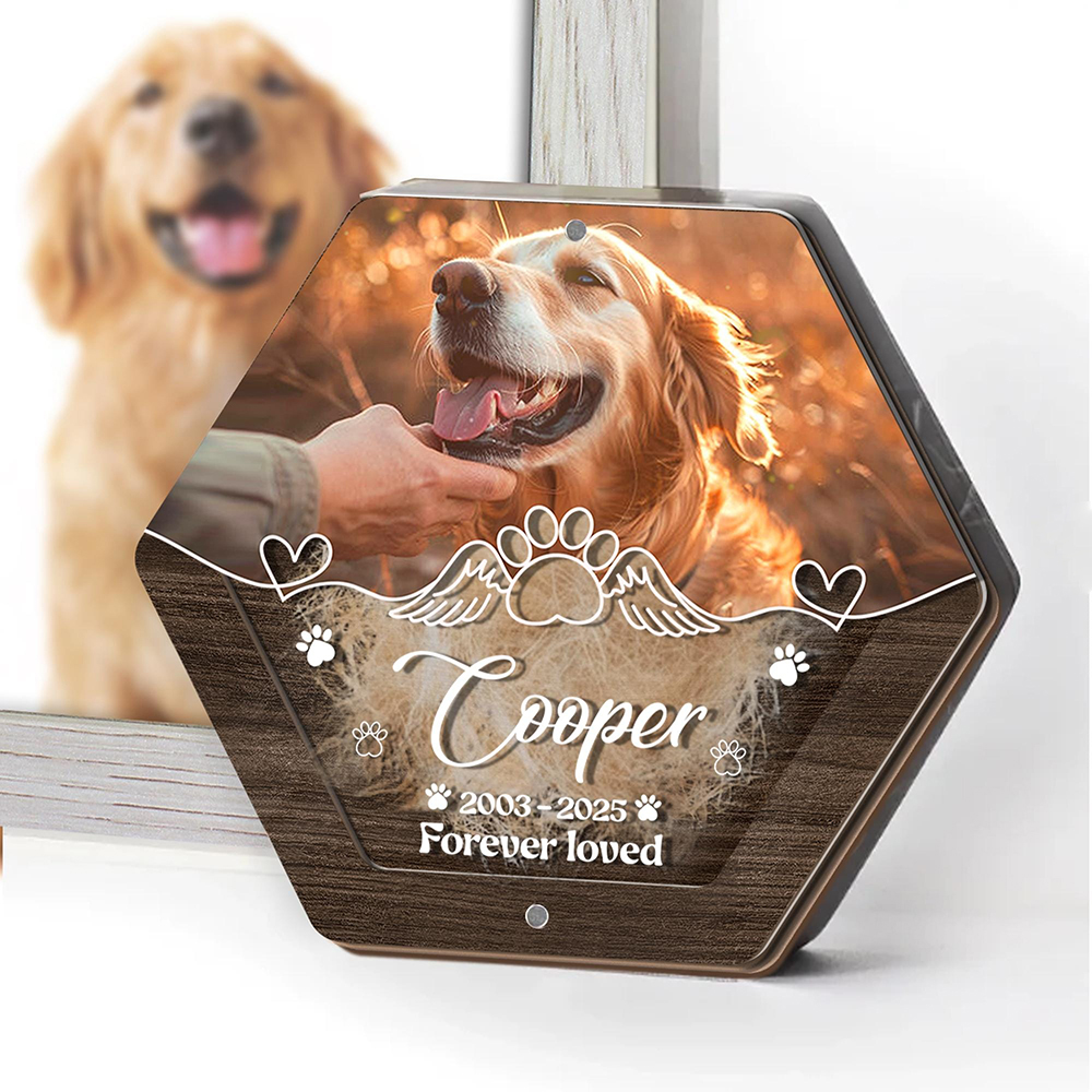 Personalized Name Wooden Carvi - Pet Supplies Warehouse recensione e prezzo