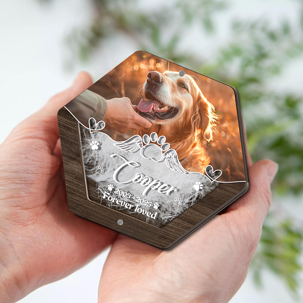Personalized Name Wooden Carvi - Pet Supplies Warehouse recensione e prezzo
