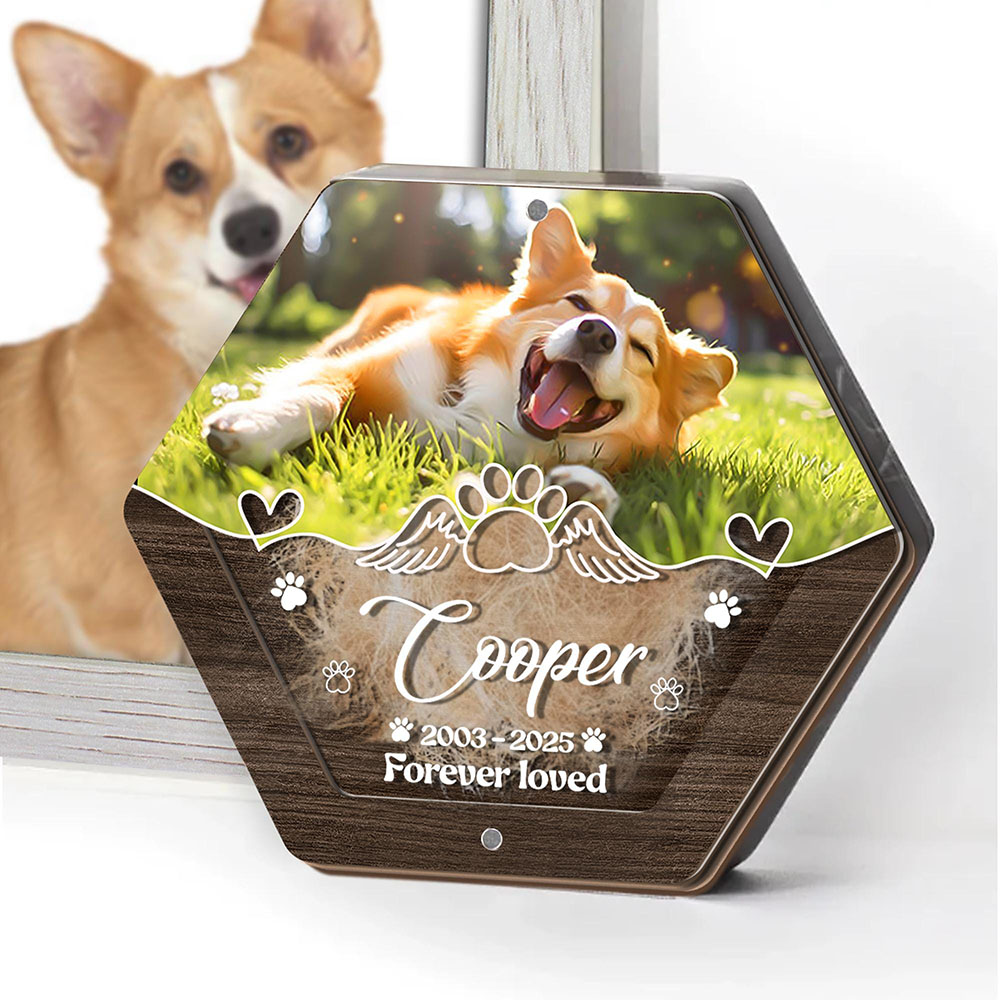 Personalized Name Wooden Carvi - Pet Supplies Warehouse recensione e prezzo