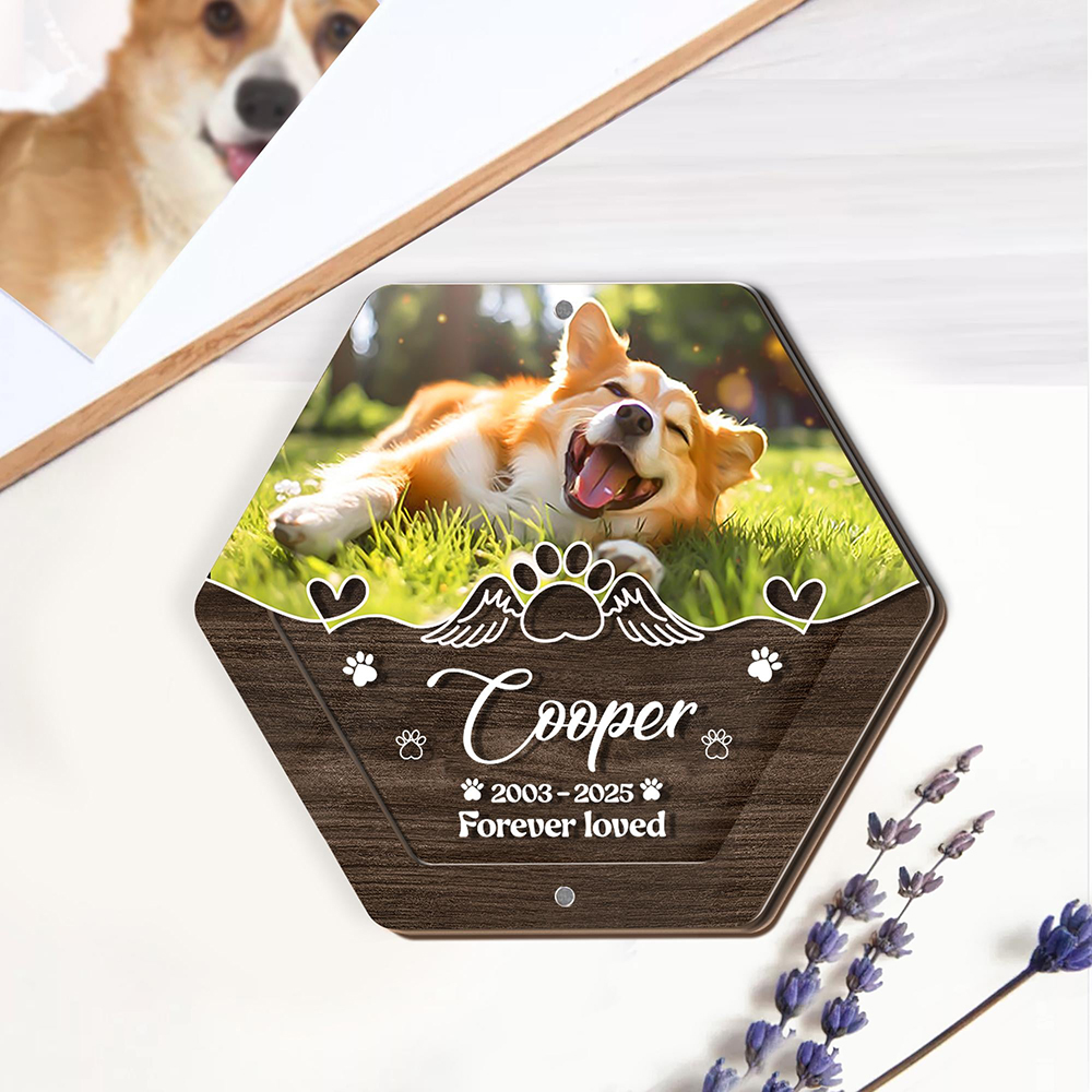 Personalized Name Wooden Carvi - Pet Supplies Warehouse recensione e prezzo
