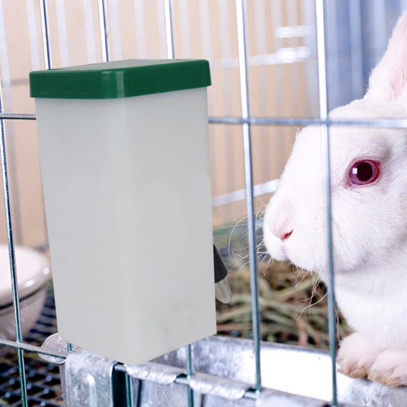 Creative Rabbit Water Dispense - Pet Water Fountain recensione e prezzo