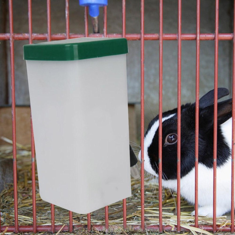 Creative Rabbit Water Dispense - Pet Water Fountain recensione e prezzo