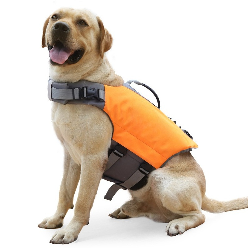 Pet Life Vest Dog Life Jacket  - Dog Life Jacket recensione e prezzo