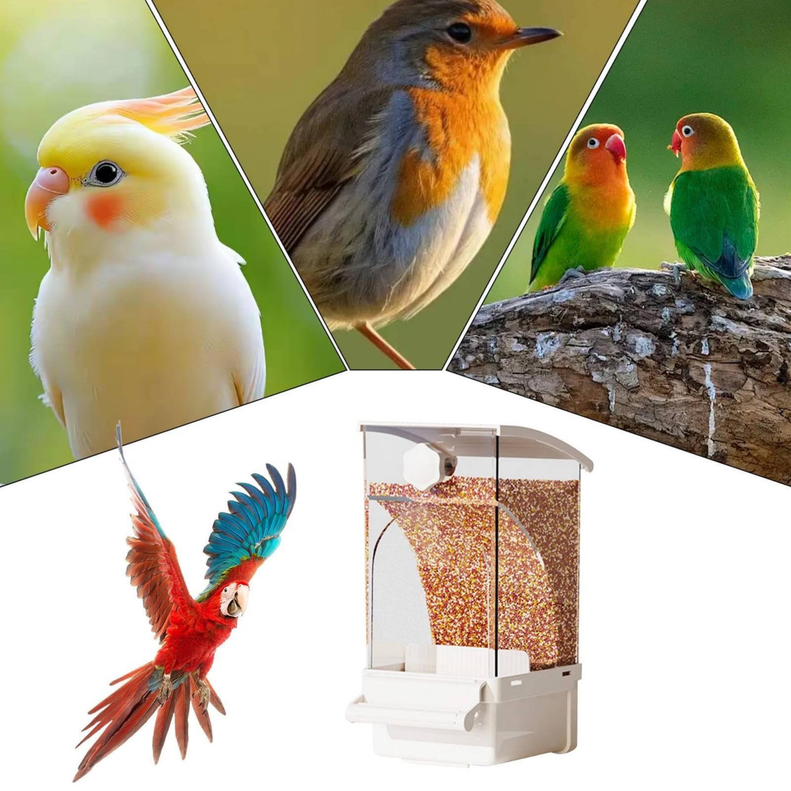 Automatic Avian Feeder Husk Se - Pet Supplies Usa recensione e prezzo