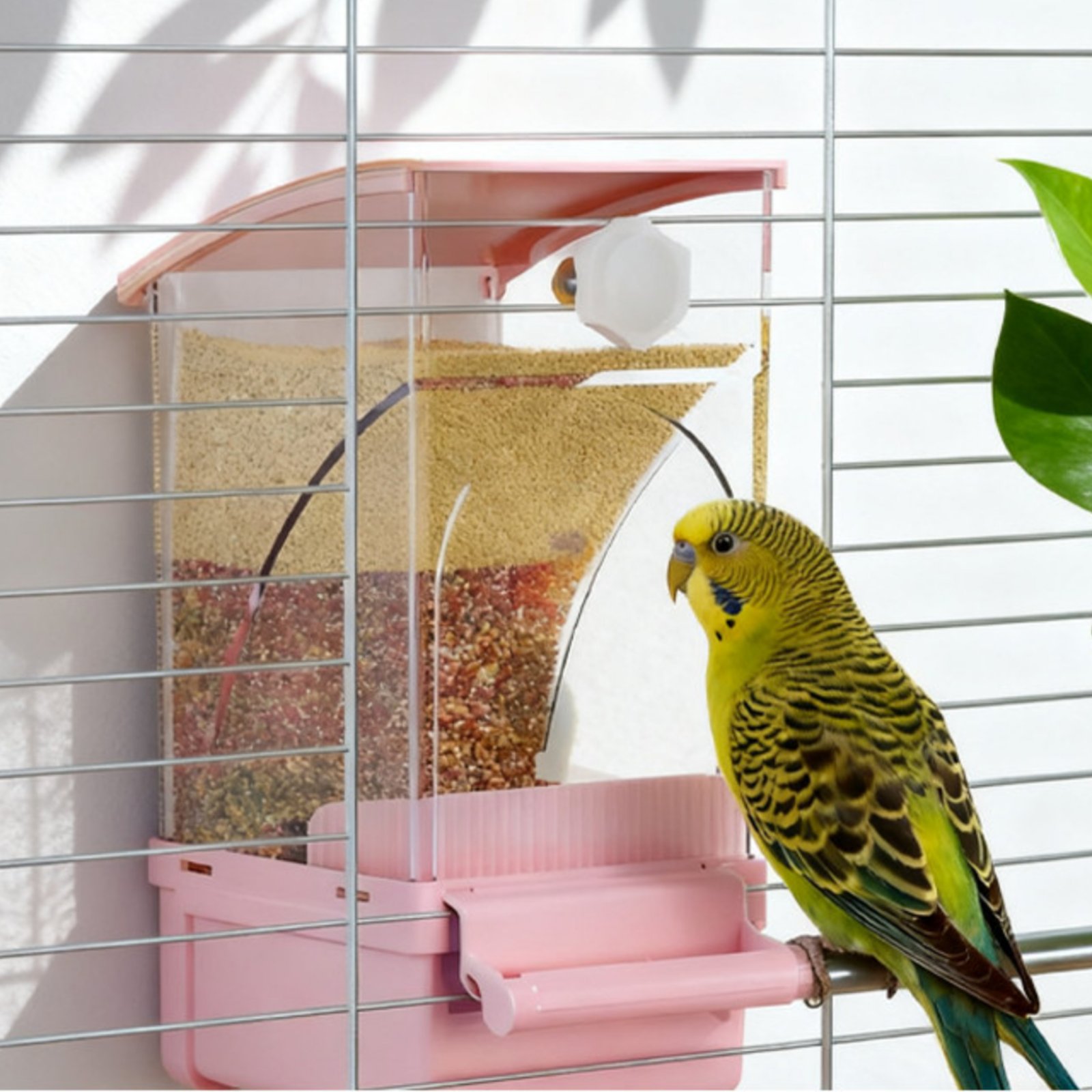 Automatic Avian Feeder Husk Se - Pet Supplies Usa recensione e prezzo