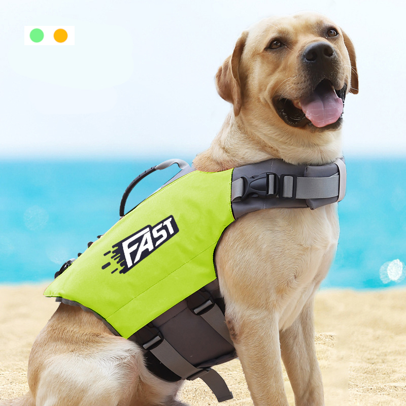 Pet Swimming Life Jacket Safet - Dog Life Jacket recensione e prezzo
