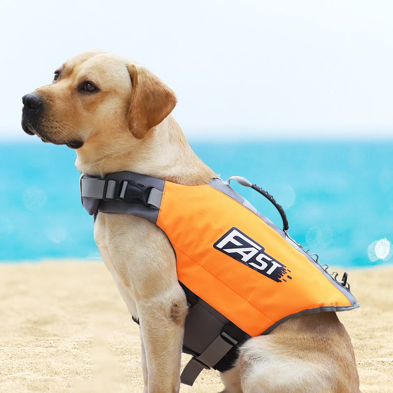 Pet Swimming Life Jacket Safet - Dog Life Jacket recensione e prezzo