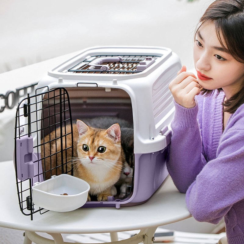 Portable Cat Cage & Dog Car Tr - Pet Supplies Usa recensione e prezzo