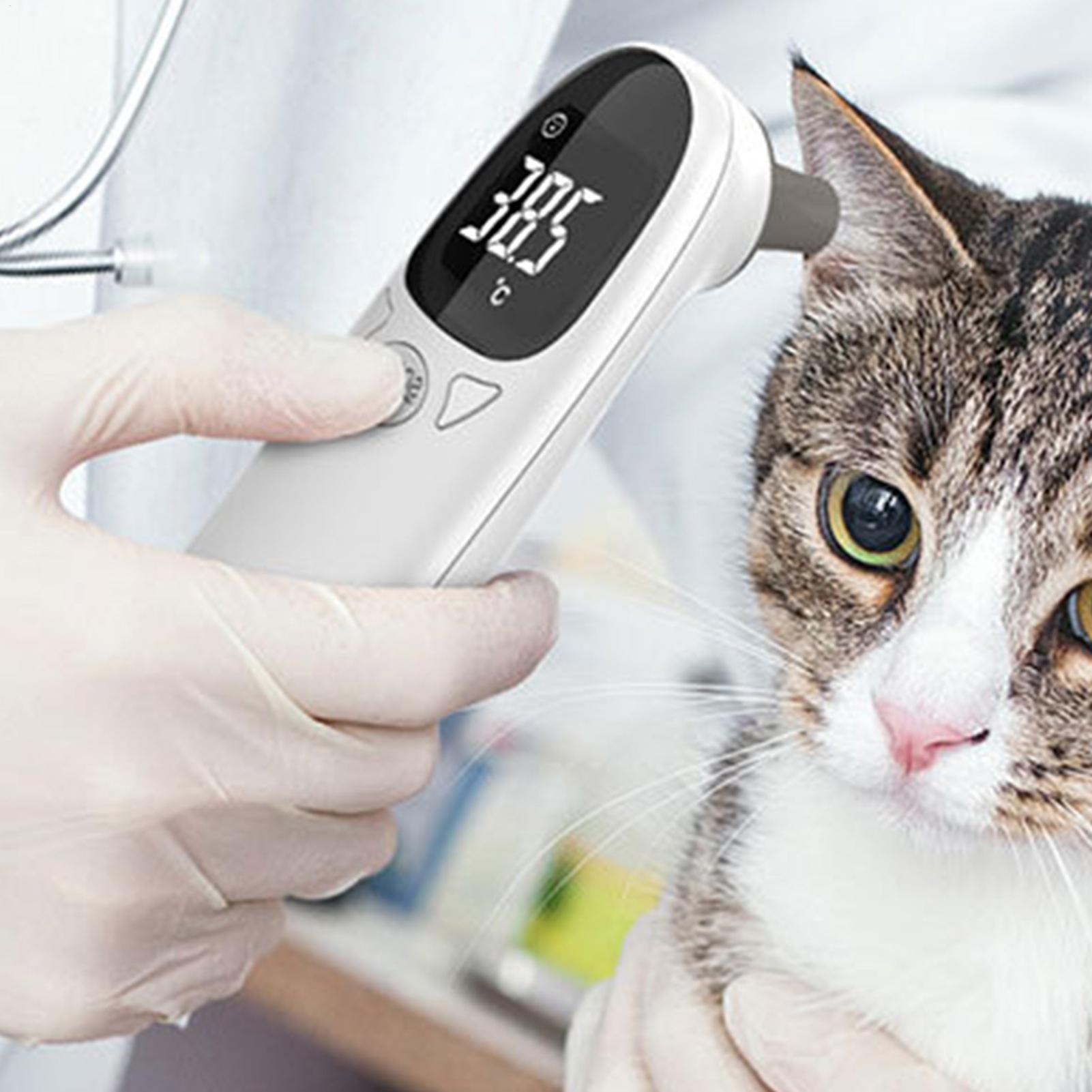 Dog Cat Ear Thermometer Medica - Pet Supplies In Bulk recensione e prezzo