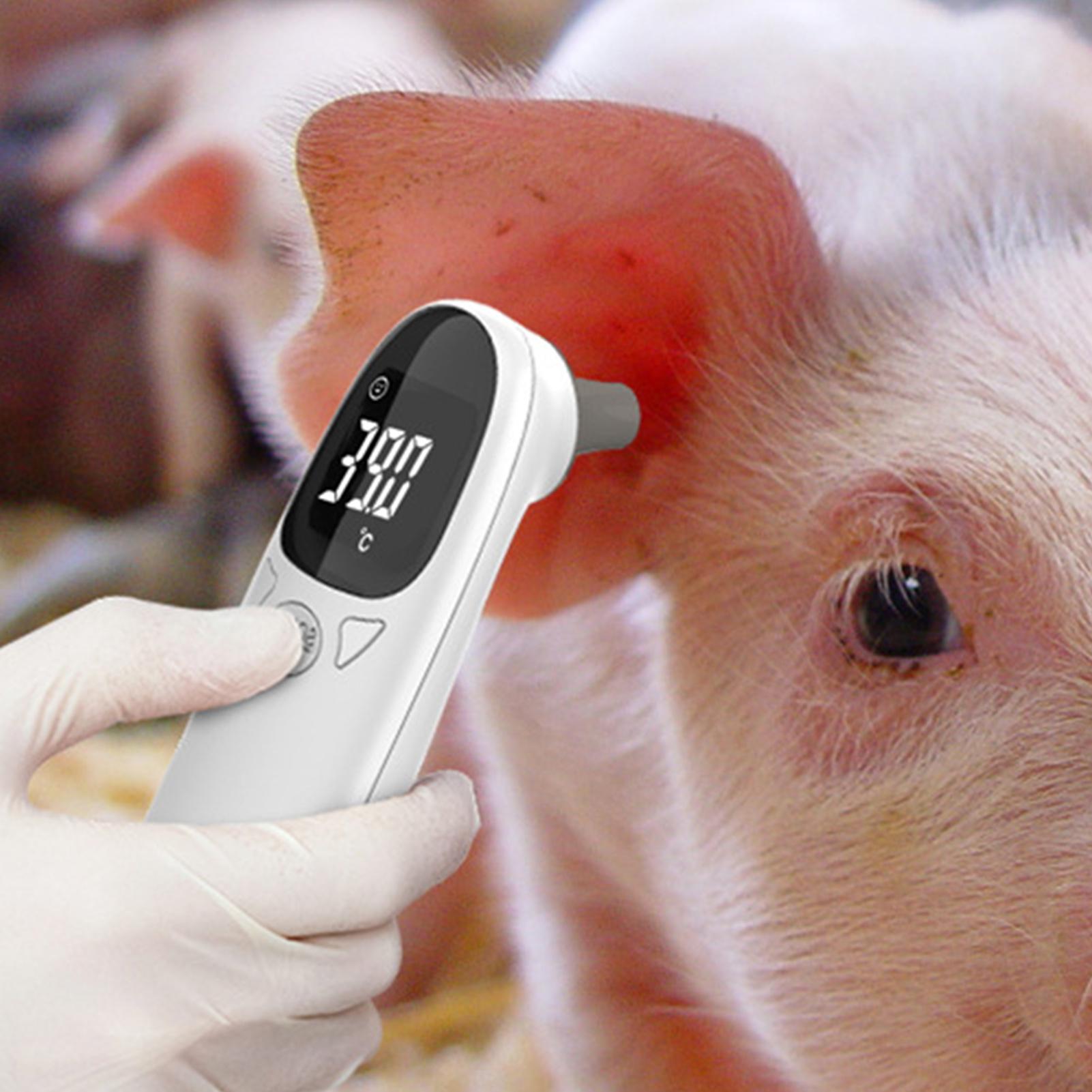 Dog Cat Ear Thermometer Medica - Pet Supplies In Bulk recensione e prezzo