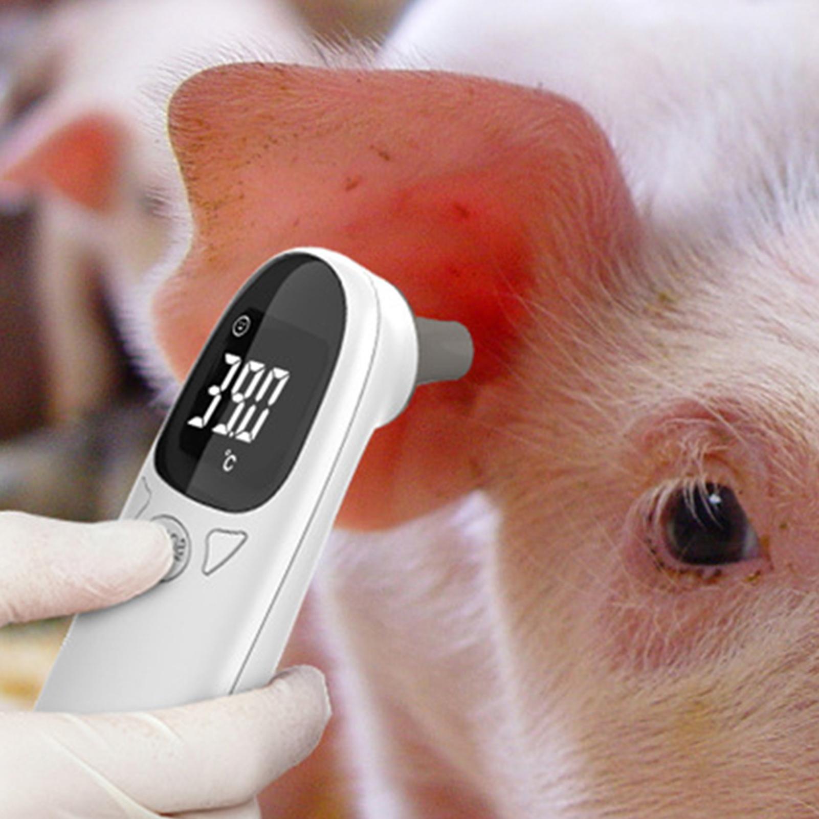 Dog Cat Ear Thermometer Medica - Pet Supplies In Bulk recensione e prezzo