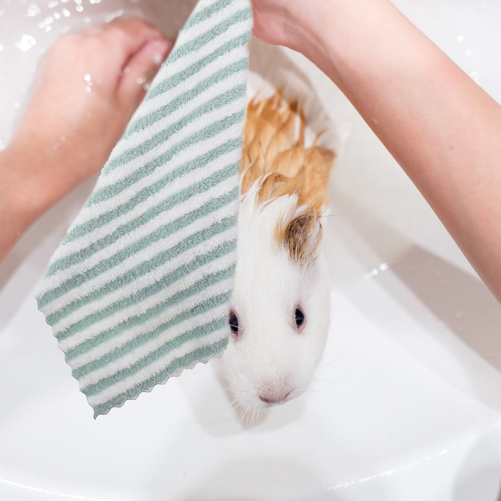 5Pcs Small Pet Bath Towels Gui - Hedgehog Bedding Liner recensione e prezzo