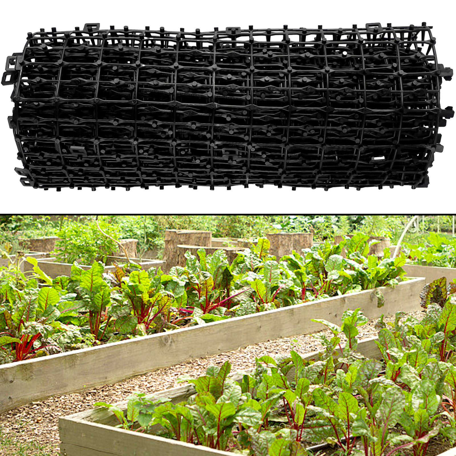 2M Gardening Pest Dog Cat Scat - Pet Supplies Warehouse recensione e prezzo