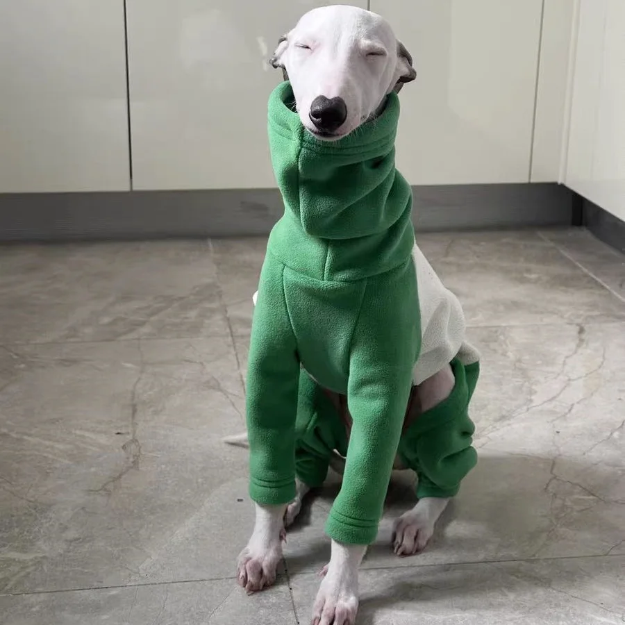 Warm Yellow Fleece Sweater for - Dog Life Jacket recensione e prezzo
