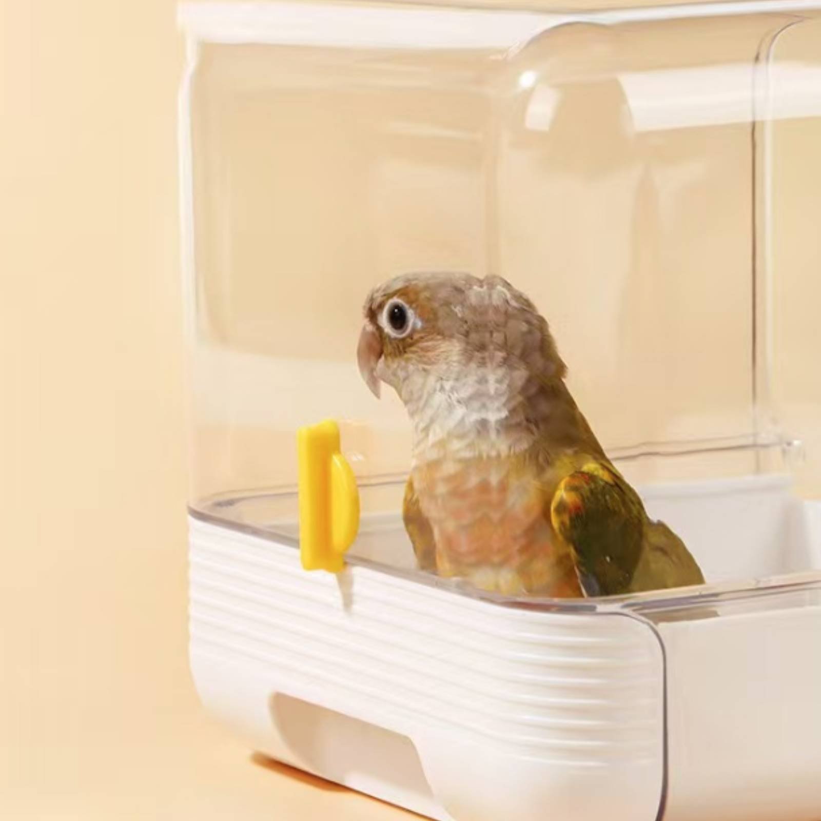 Parrot Bathing Tub Multi Funct - Pet Supplies Usa recensione e prezzo