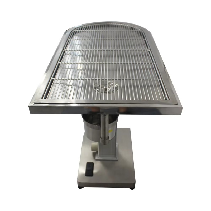 304 Stainless Steel Electric L - Pet Supplies Usa recensione e prezzo