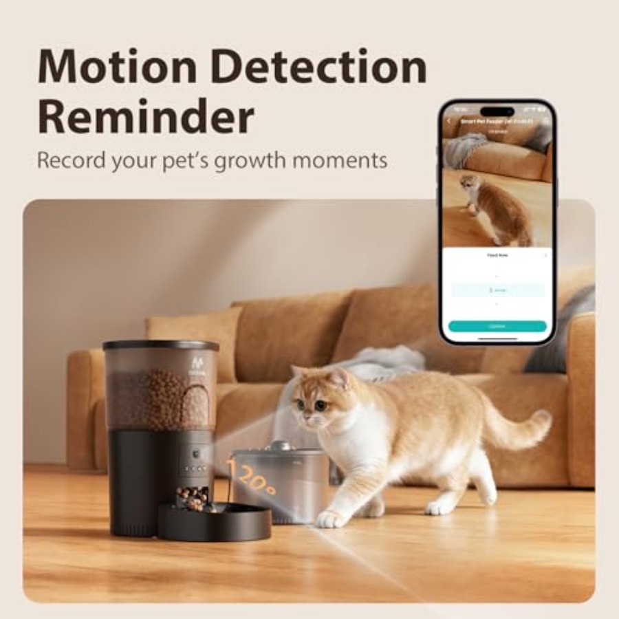 Automatic cat feeder with came - Pet Water Fountain recensione e prezzo
