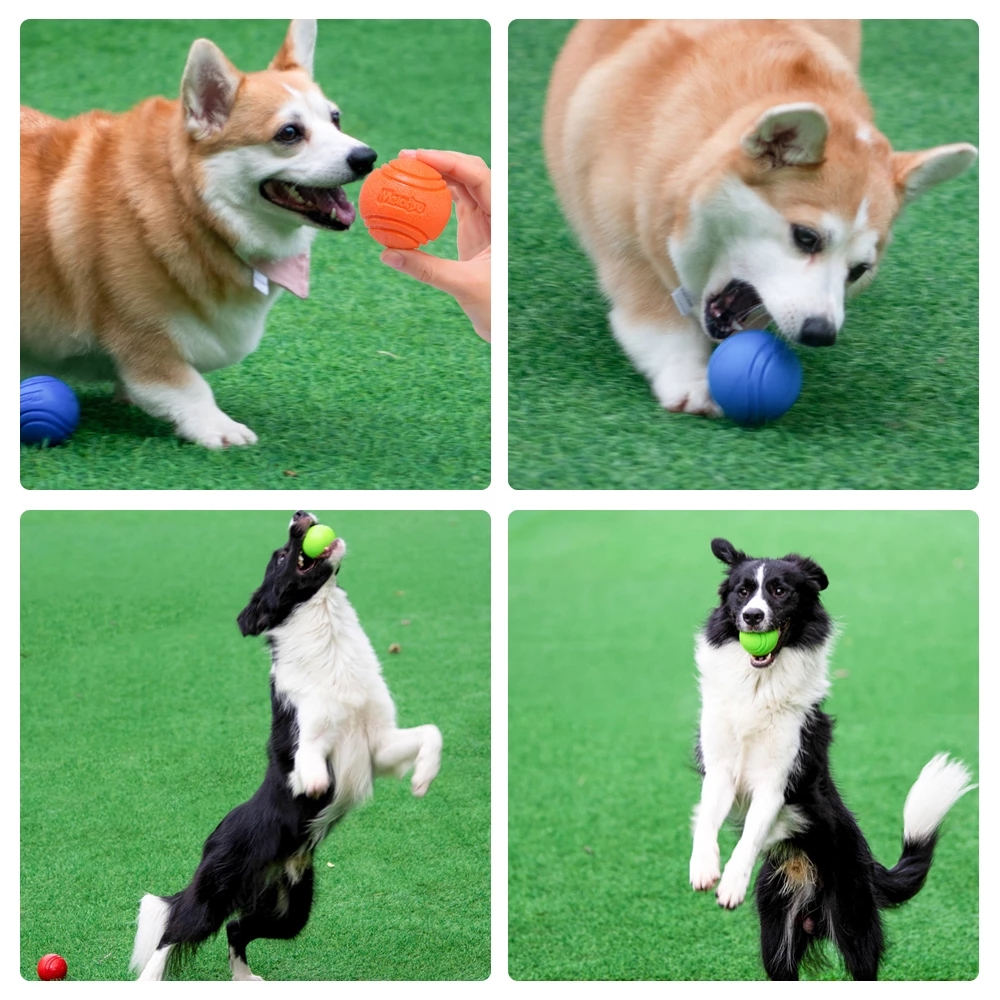 Pet Dog Toys Dog Ball Dog Boun - Pet Supplies In Bulk recensione e prezzo