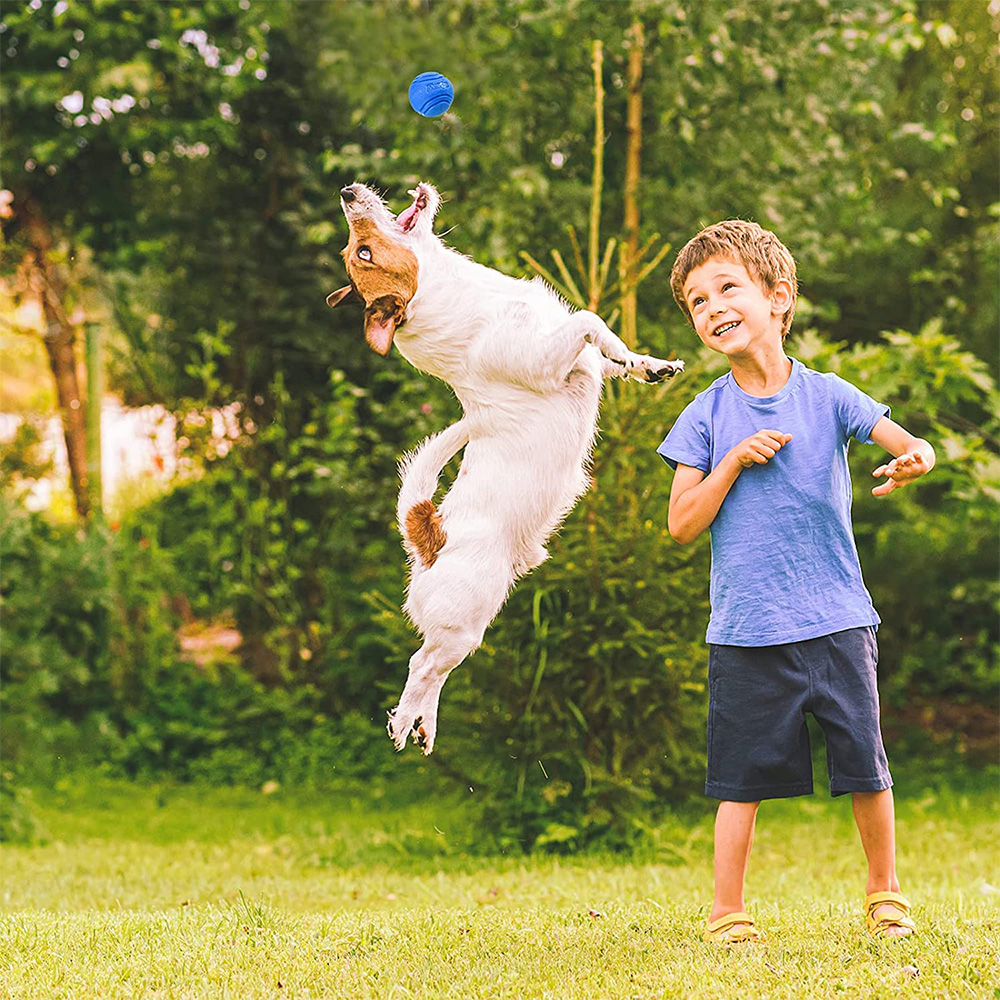 Pet Dog Toys Dog Ball Dog Boun - Pet Supplies In Bulk recensione e prezzo