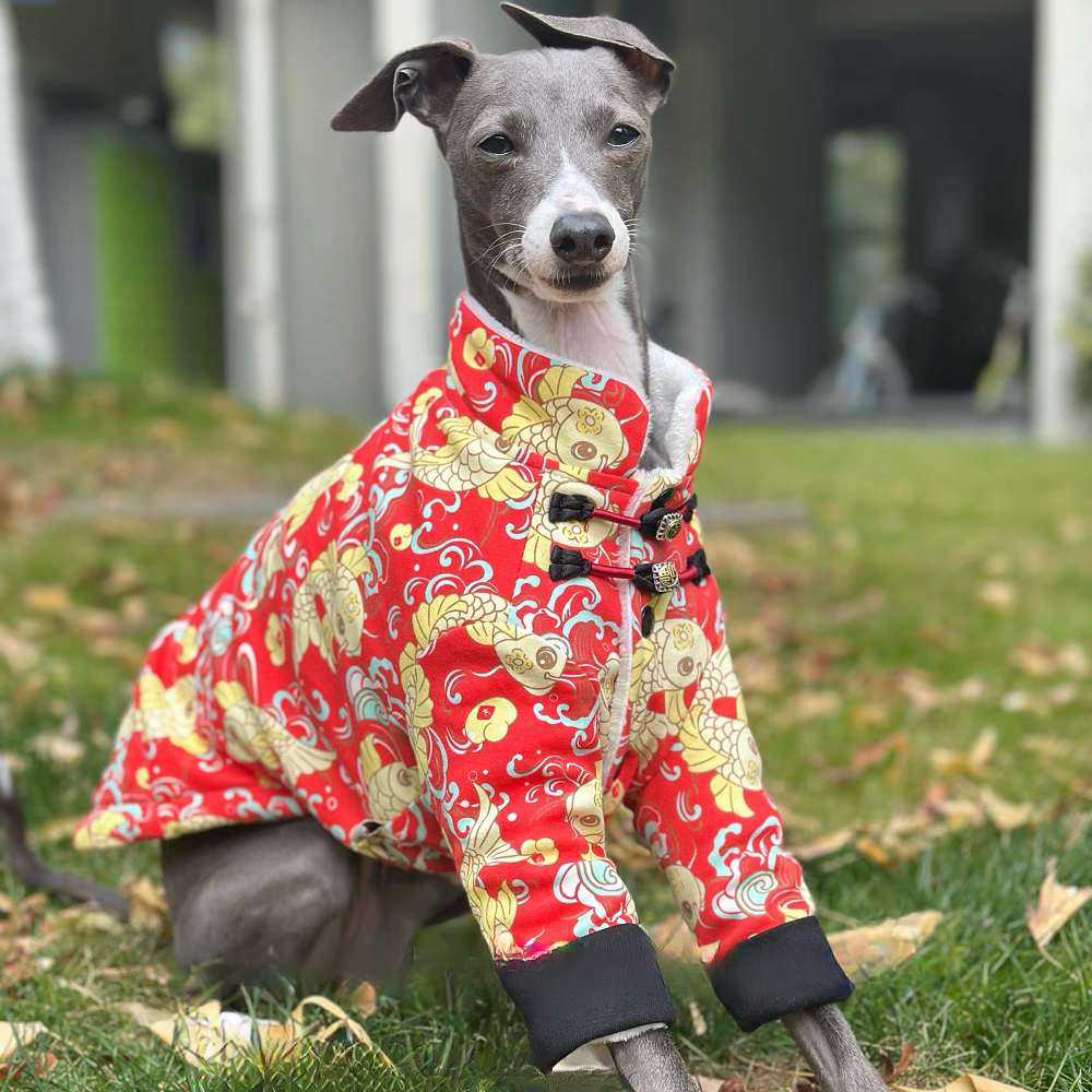 Chinese Knot Buckle Fleece Jac - Dog Life Jacket recensione e prezzo