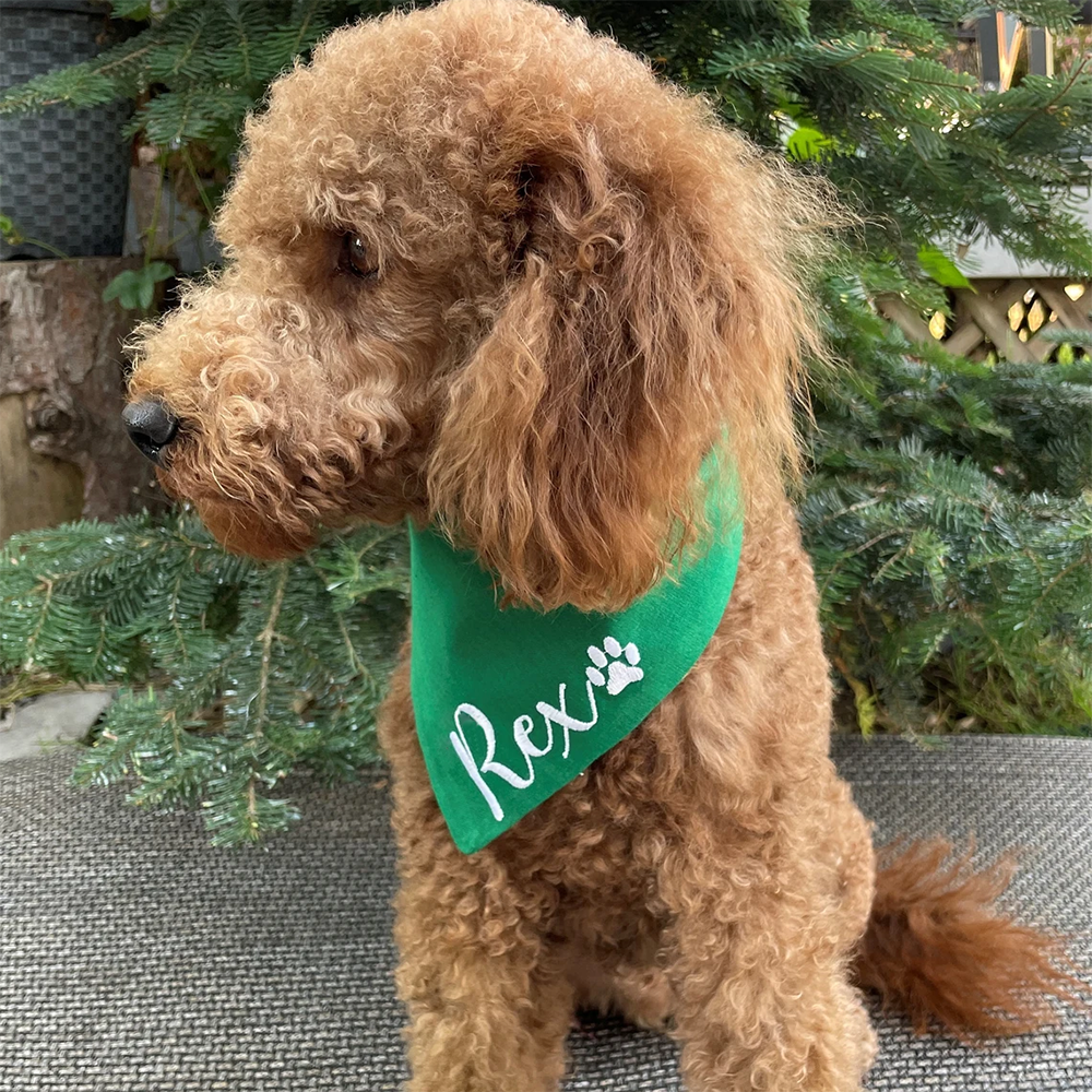Personalized name Dog Christma - Pet Supplies Warehouse recensione e prezzo