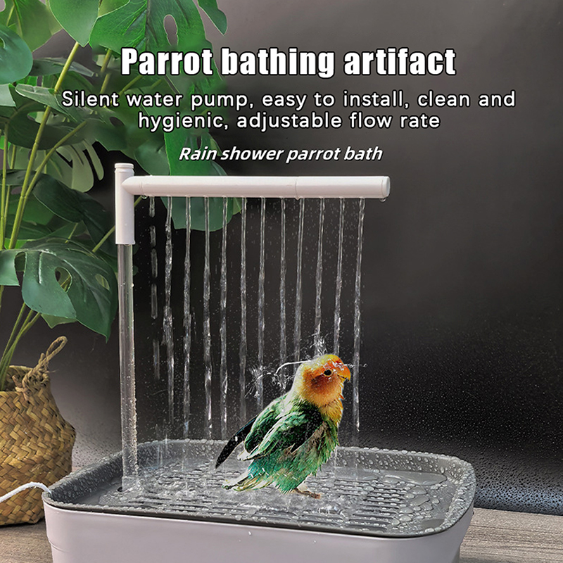 New Sale 2026 Automatic Parrot - Pet Supplies Usa recensione e prezzo