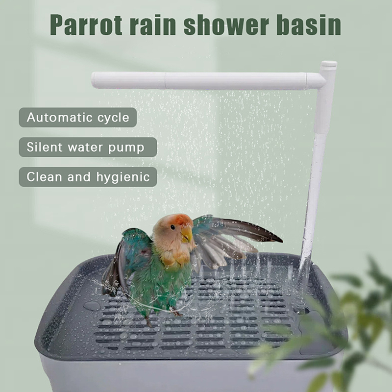 New Sale 2026 Automatic Parrot - Pet Supplies Usa recensione e prezzo