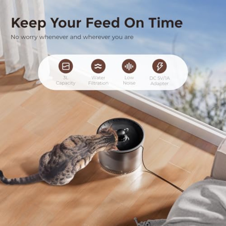 Automatic Cat Feeder with Came - Pet Water Fountain recensione e prezzo